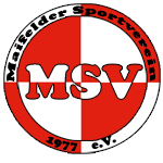 logo_msv